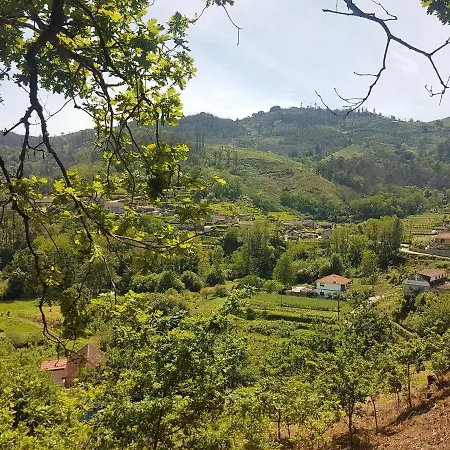 O Eido De Celia