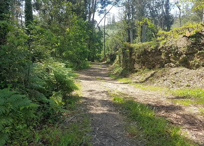 Tatil Evi O Eido De Celia *